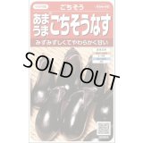 送料無料　[なす]　ごちそうなす約50粒　(株)サカタのタネ　 実咲550（002834）