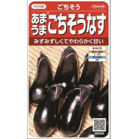 [なす]　ごちそうなす　小袋　サカタのタネ（株）実咲500