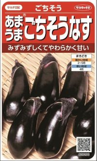 [なす]　ごちそうなす　小袋　サカタのタネ（株）実咲500