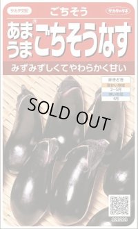送料無料　[なす]　ごちそうなす約50粒　(株)サカタのタネ　 実咲550（002834）