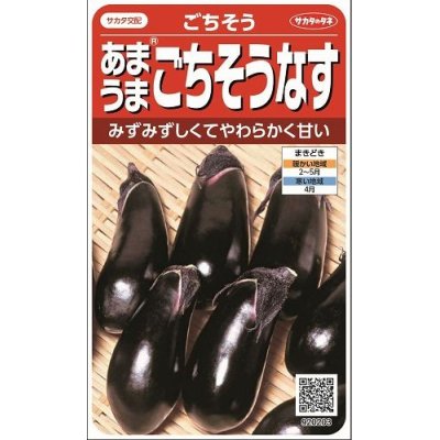 画像1: [なす]　ごちそうなす　小袋　サカタのタネ（株）実咲500