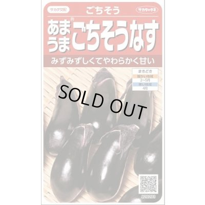 画像1: 送料無料　[なす]　ごちそうなす約50粒　(株)サカタのタネ　 実咲550（002834）
