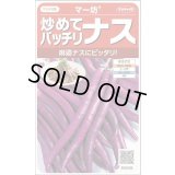 送料無料　[なす]　マー坊　約60粒　(株)サカタのタネ　実咲550（002835）