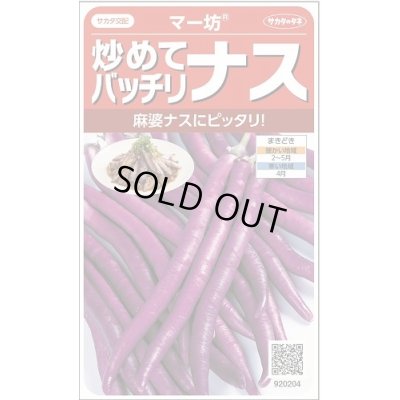 画像1: 送料無料　[なす]　マー坊　約60粒　(株)サカタのタネ　実咲550（002835）