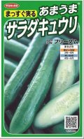 送料無料　[キュウリ]　フリーダム　18粒　　(株)サカタのタネ実咲（002844）