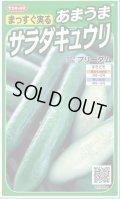 送料無料　[キュウリ]　フリーダム　18粒　　(株)サカタのタネ実咲（002844）