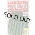 送料無料　[キュウリ]　ずーっととれる　約16粒　(株)サカタのタネ　実咲550（002847）