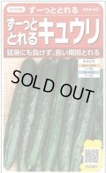 送料無料　[キュウリ]　ずーっととれる　約16粒　(株)サカタのタネ　実咲550（002847）