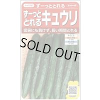 送料無料　[キュウリ]　ずーっととれる　約16粒　(株)サカタのタネ　実咲550（002847）