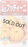 送料無料　[かぼちゃ]　プッチィーニ　7粒　(株)サカタのタネ　実咲450（002870）