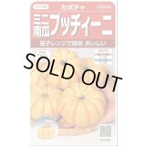 送料無料　[かぼちゃ]　プッチィーニ　7粒　(株)サカタのタネ　実咲450（002870）