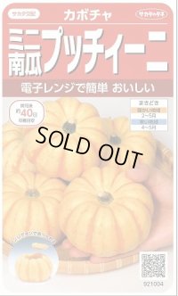 送料無料　[かぼちゃ]　プッチィーニ　7粒　(株)サカタのタネ　実咲450（002870）
