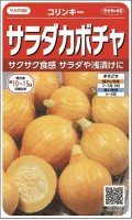 送料無料　[かぼちゃ]　コリンキー　約10粒　(株)サカタのタネ　実咲450（002879）