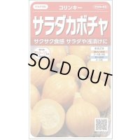 送料無料　[かぼちゃ]　コリンキー　約10粒　(株)サカタのタネ　実咲450（002879）