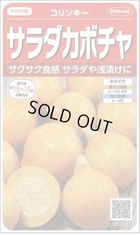 送料無料　[かぼちゃ]　コリンキー　約10粒　(株)サカタのタネ　実咲450（002879）
