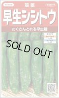 送料無料　[ししとう]　翠臣　約30粒　(株)サカタのタネ　実咲450 （002905）