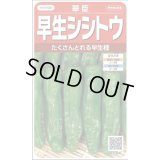 送料無料　[ししとう]　翠臣　約30粒　(株)サカタのタネ　実咲450 （002905）