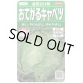 送料無料　[キャベツ]　金系201号　約65粒　(株)サカタのタネ　実咲450（002912）