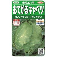 [キャベツ]　金系201号　約65粒　サカタ交配　　実咲