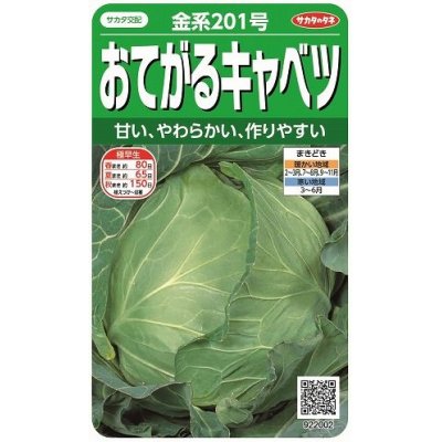 画像1: [キャベツ]　金系201号　約65粒　サカタ交配　　実咲