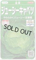 送料無料　[キャベツ]　金春　約65粒　(株)サカタのタネ　実咲450（002913）