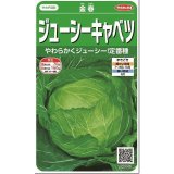 送料無料　[キャベツ]　金春　約65粒　(株)サカタのタネ　実咲450（002913）