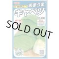 送料無料　[キャベツ]　新藍　約65粒　(株)サカタのタネ　実咲450（002914）