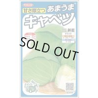 送料無料　[キャベツ]　新藍　約65粒　(株)サカタのタネ　実咲450（002914）