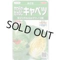 送料無料　[キャベツ]　みさき　約75粒　(株)サカタのタネ　実咲450（002917）