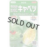 送料無料　[キャベツ]　みさき　約75粒　(株)サカタのタネ　実咲450（002917）