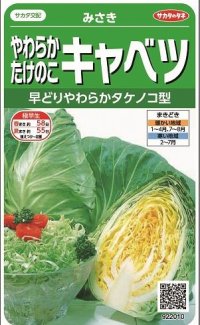 [キャベツ]　みさき　約75粒　サカタ交配　　実咲