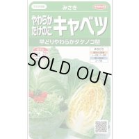 送料無料　[キャベツ]　みさき　約75粒　(株)サカタのタネ　実咲450（002917）