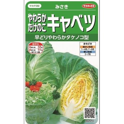 画像1: [キャベツ]　みさき　約75粒　サカタ交配　　実咲