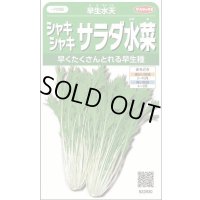 送料無料　みず菜　早生水天　約1200粒　(株)サカタのタネ　実咲350（002964）