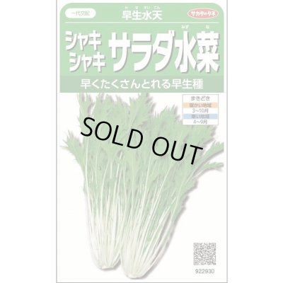 画像1: 送料無料　みず菜　早生水天　約1200粒　(株)サカタのタネ　実咲350（002964）