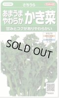 送料無料　[葉物]　かき菜　さちうら　約800粒　(株)サカタのタネ　実咲350（002967）