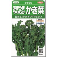 送料無料　[葉物]　かき菜　さちうら　約800粒　(株)サカタのタネ　実咲350（002967）