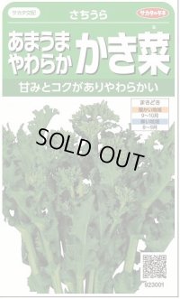 [葉物]　かき菜　さちうら　約800粒　サカタのタネ（株）　実咲300