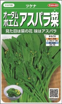 [葉物]　オータムポエム　約260粒　サカタ交配　実咲