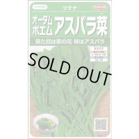 送料無料　オータムポエム　約260粒　(株)サカタのタネ　実咲450（002990）