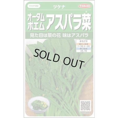 画像1: 送料無料　オータムポエム　約260粒　(株)サカタのタネ　実咲450（002990）