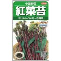 送料無料　[中国野菜]　紅菜苔　約2000粒　(株)サカタのタネ　実咲250（002995）