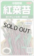 送料無料　[中国野菜]　紅菜苔　約2000粒　(株)サカタのタネ　実咲250（002995）