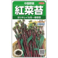 送料無料　[中国野菜]　紅菜苔　約2000粒　(株)サカタのタネ　実咲250（002995）