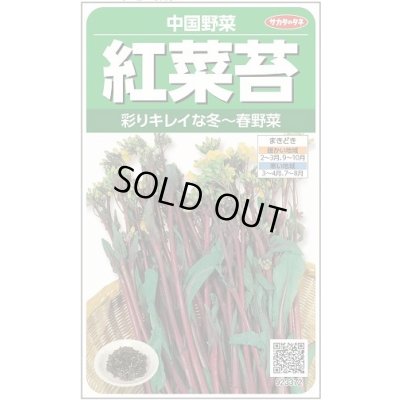 画像1: [中国野菜]　　紅菜苔　約1410粒　サカタのタネ（株）　実咲200