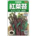 画像1: 送料無料　[中国野菜]　紅菜苔　約2000粒　(株)サカタのタネ　実咲250（002995） (1)