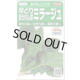 送料無料　[ほうれんそう]　ミラージュ　約750粒　(株)サカタのタネ　実咲250（003007）