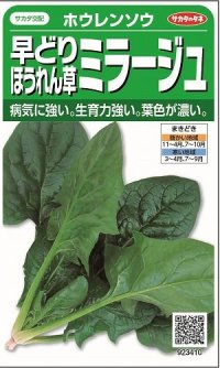 [ほうれんそう]　ミラージュ　約750粒　サカタのタネ（株）　実咲200