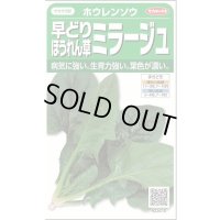 送料無料　[ほうれんそう]　ミラージュ　約750粒　(株)サカタのタネ　実咲250（003007）