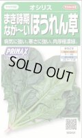 送料無料　[ほうれんそう]　オシリス　約900粒　(株)サカタのタネ　実咲350（003011）